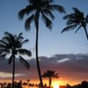 Meet your Posher, Meredith